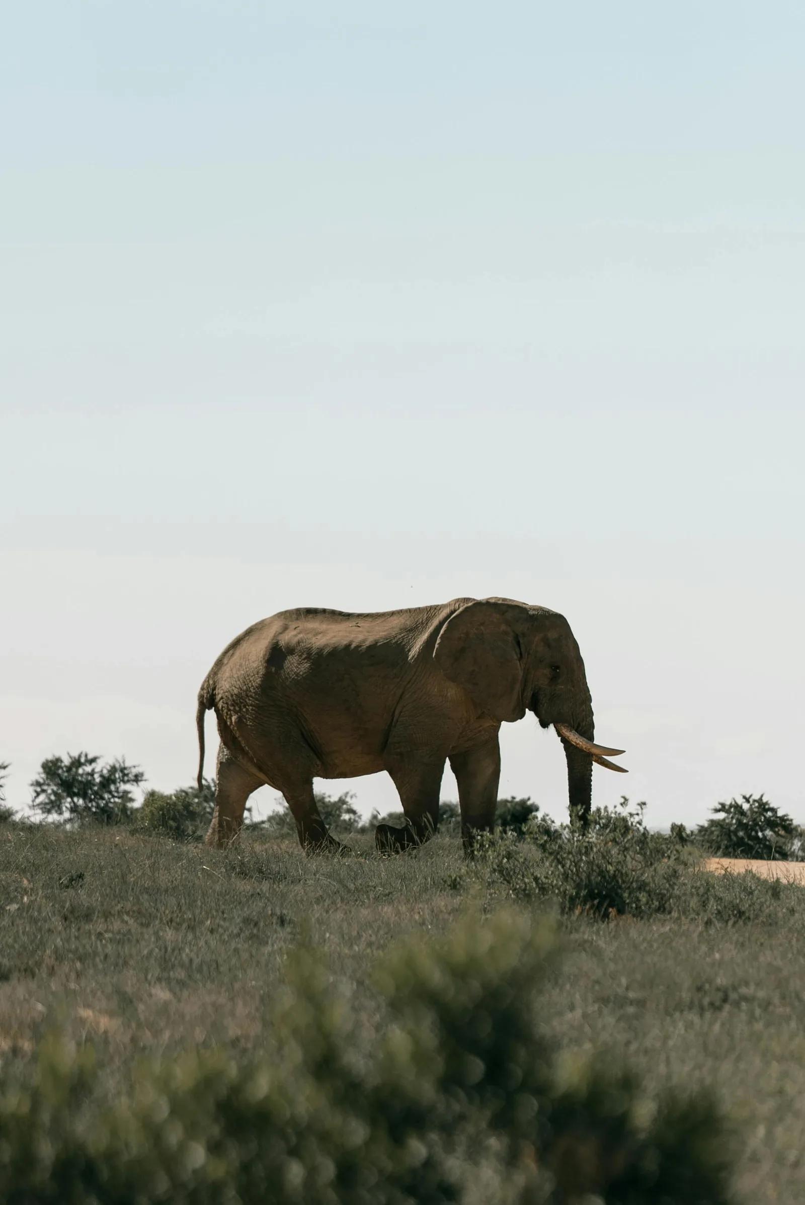 Aidfine für afrikanische Datenrealitäten im Abgleich entwickelt.